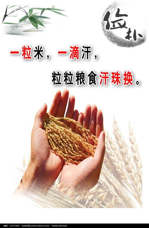 日本名寄市立大学文凭毕业证样本照片